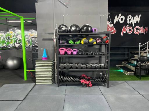 عکس باشگاه آلفا 