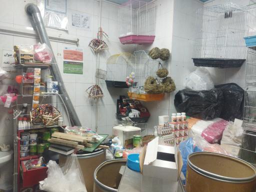 عکس پرنده سرای چکاوک