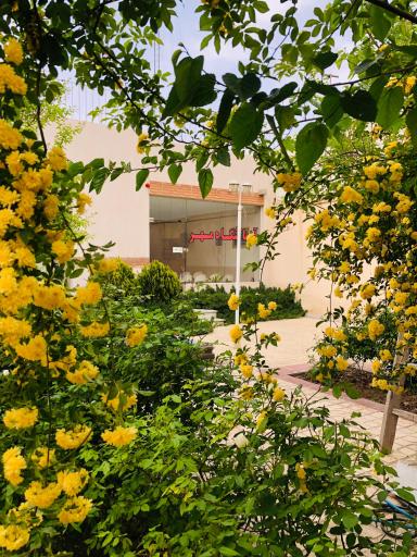 عکس آزمایشگاه تشخیص طبی مهر