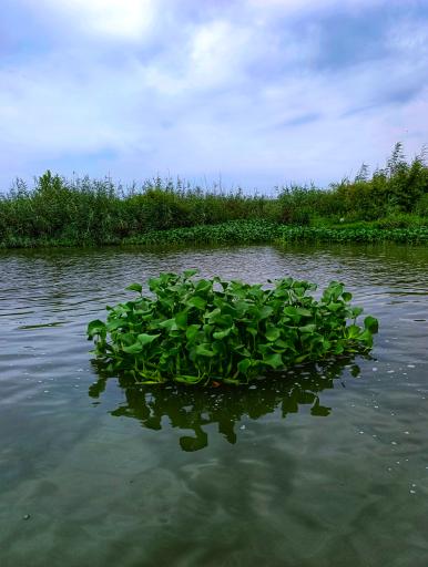 عکس اسکله تفریحی گردشگری قایقرانان مالا