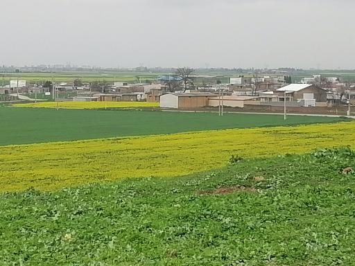 عکس دشت حلقه