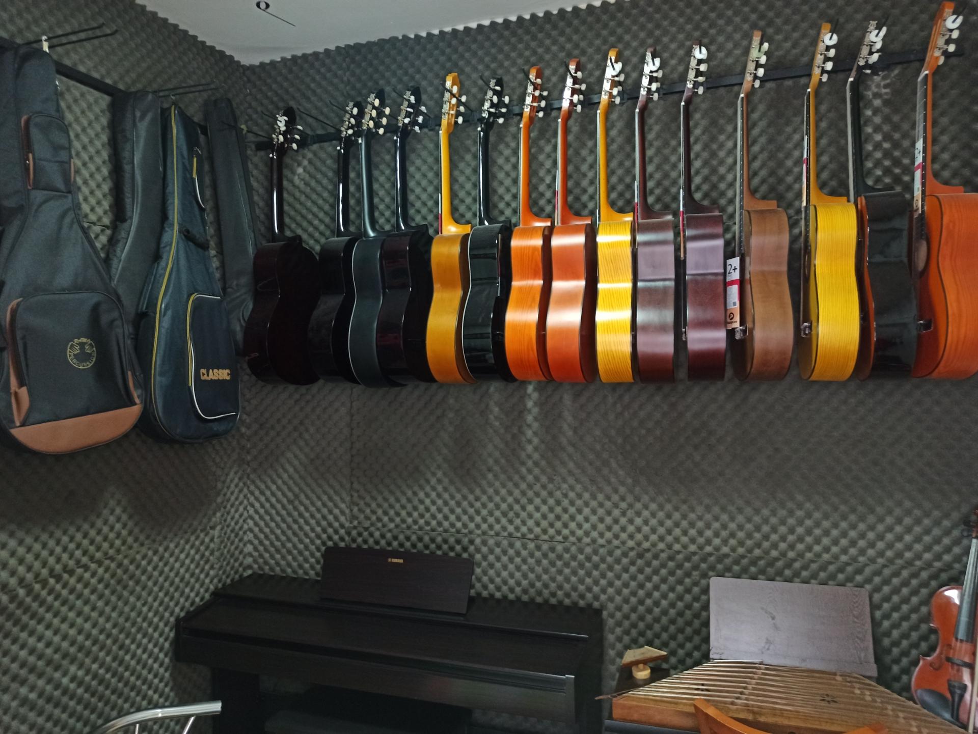 عکس مجموعه هنری گیتار پرو