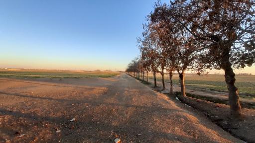 عکس دامداری مهدی شیانی