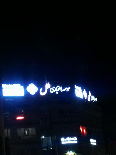 عکس سرپرستی موسسه اعتباری ملل 