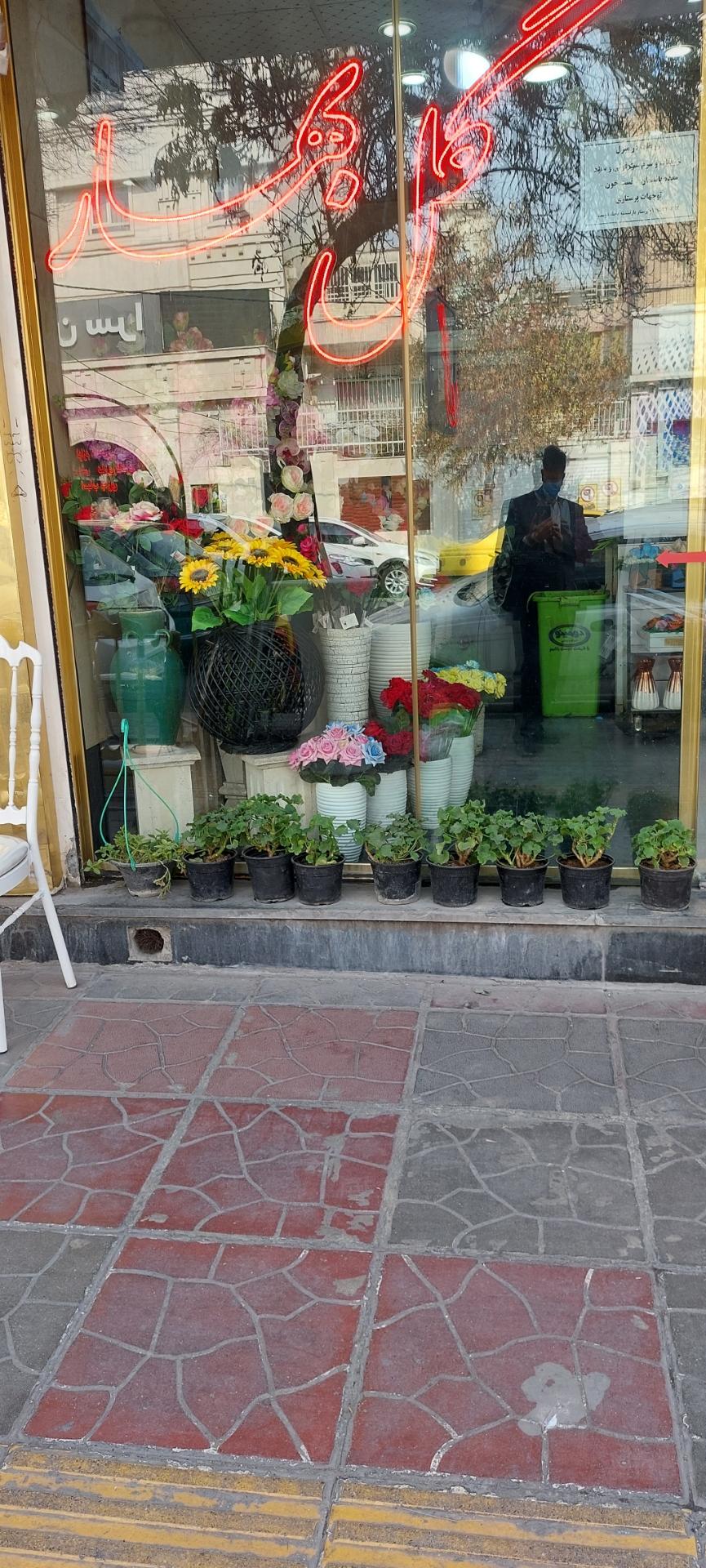 عکس گل فروشی گل بهار