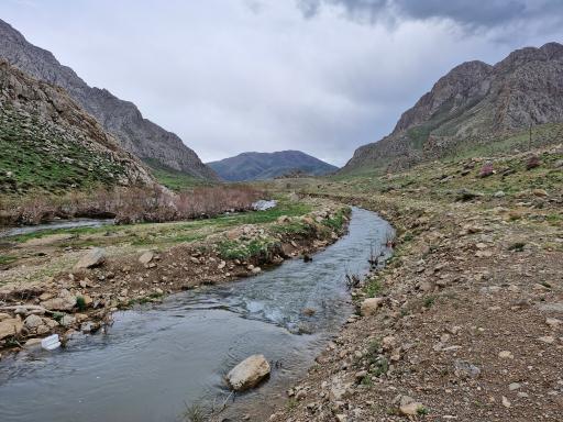 عکس شهر سنقر