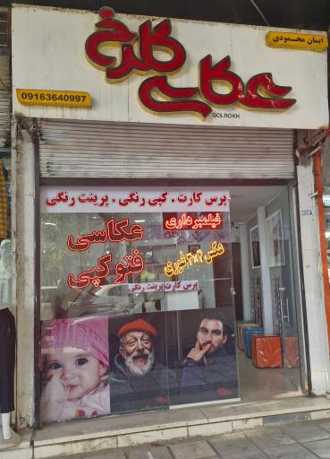 عکس عکاسی گلرخ