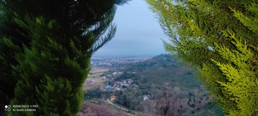 عکس شبخوس پهلو