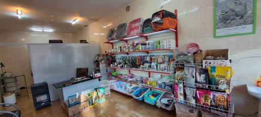 عکس کلینیک دامپزشکی دامپرور 