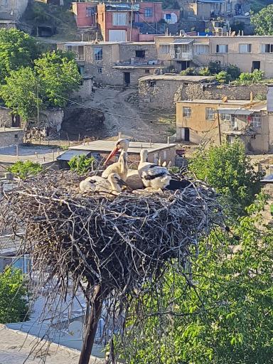 عکس دره‌تفی
