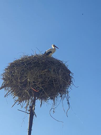 عکس دره‌تفی