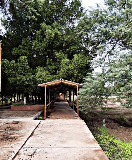 عکس دانشگاه شهید چمران