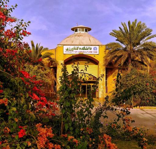 عکس دانشگاه شهید چمران