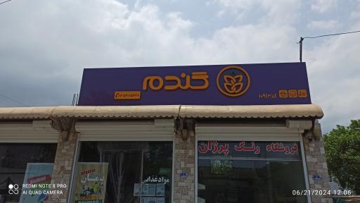 عکس فروشگاه گندم علی آباد 10913