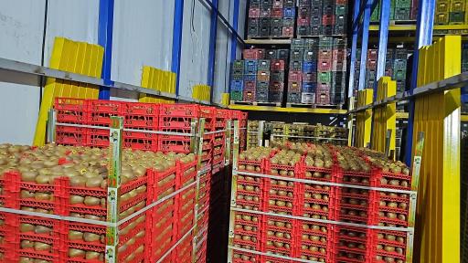 عکس مجموعه سردخانه و بسته بندی کیوی برادران حسن‌پور