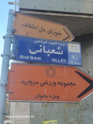 شورای حل اختلاف منطقه ۱۷ _۸۱۲