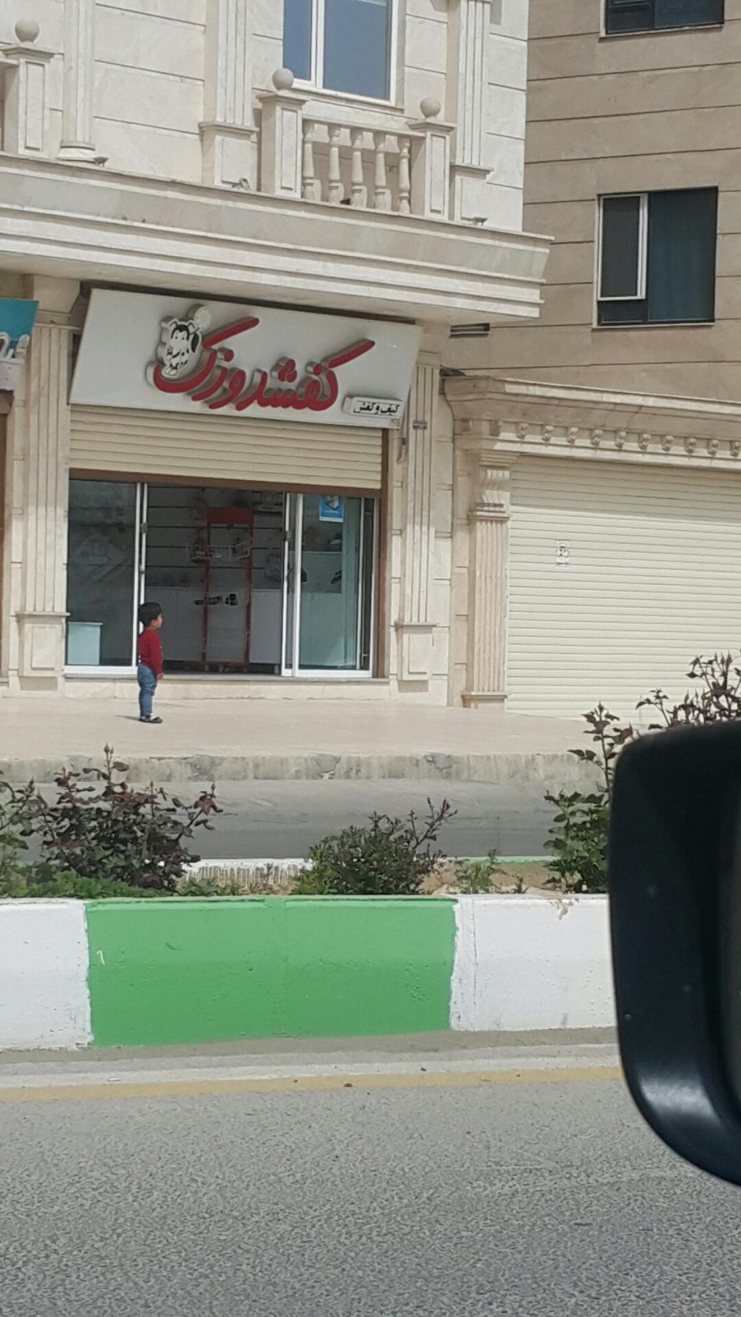 عکس کیف و کفش کفشدوزک