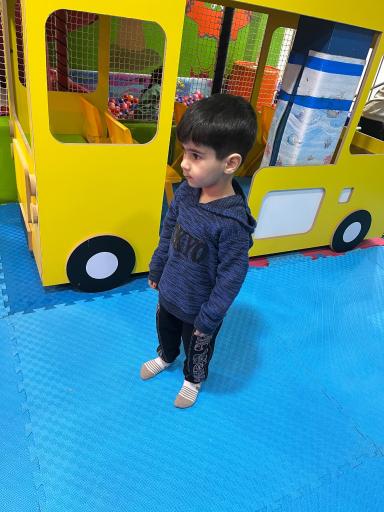 عکس خانه بازی و مشاغل پیک نیک