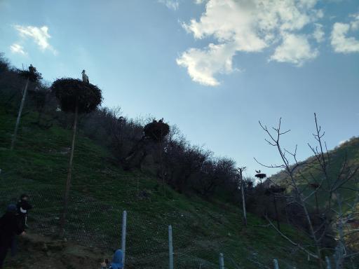 عکس دره‌تفی
