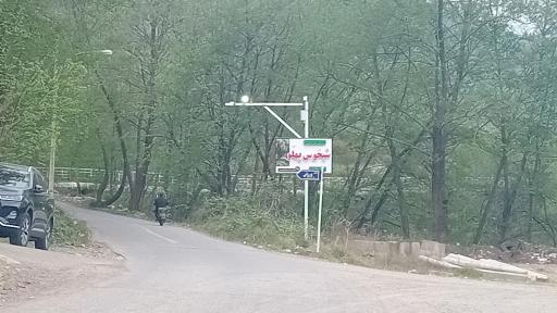 عکس شبخوس پهلو