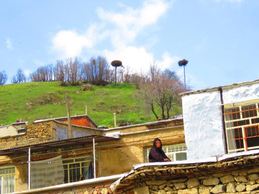 عکس دره‌تفی