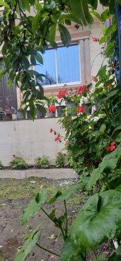 عکس ویلای ساحلی مجید شریفی