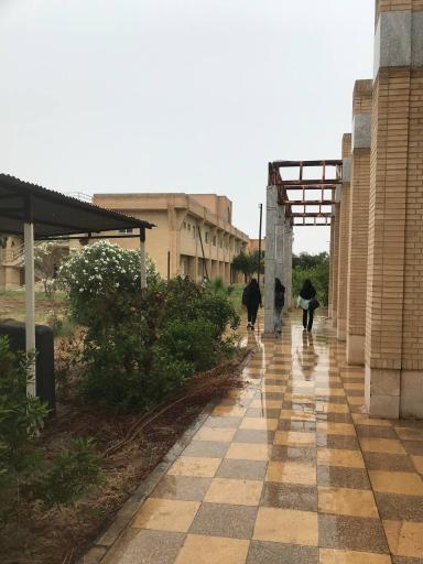 دانشگاه شهید چمران