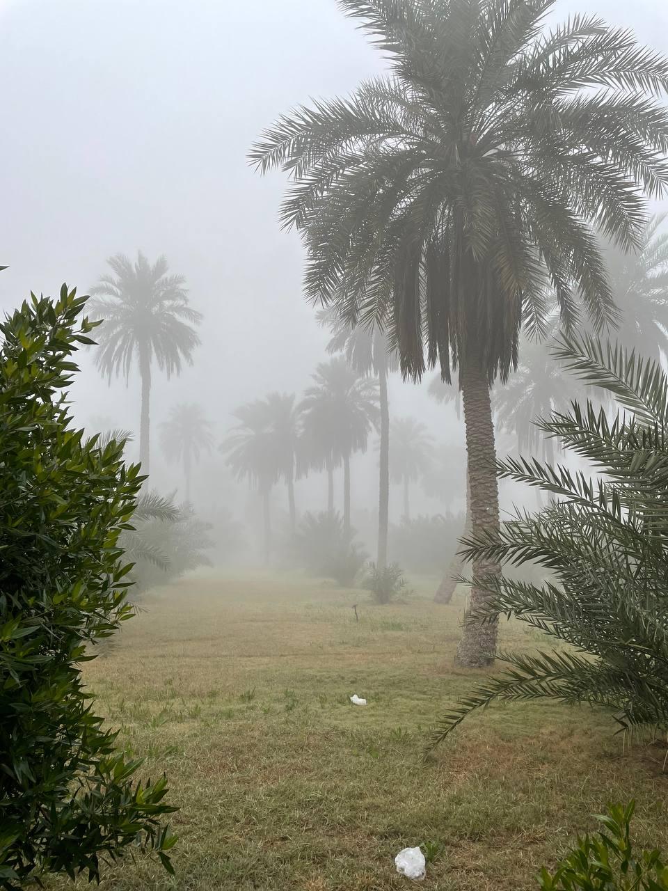 عکس دانشگاه شهید چمران