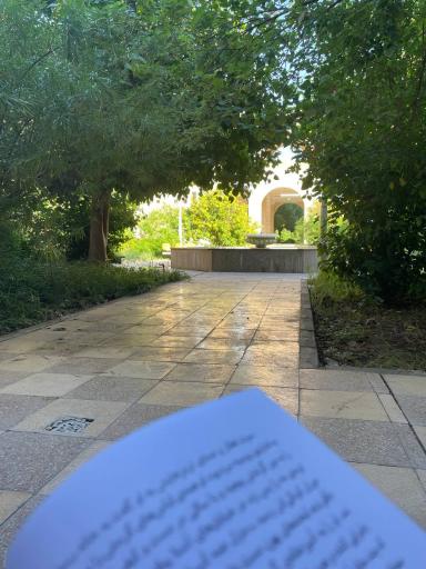 دانشگاه شهید چمران