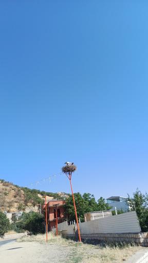 عکس دره‌تفی