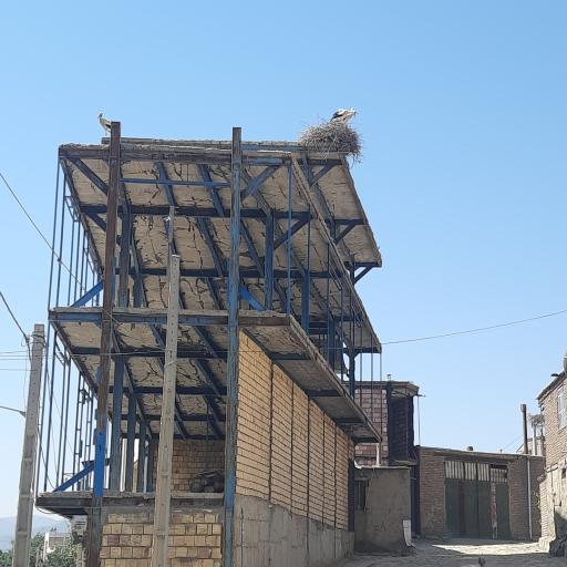 عکس دره‌تفی