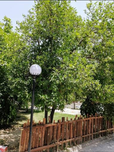 عکس تالار و رستوران سبوی عشق