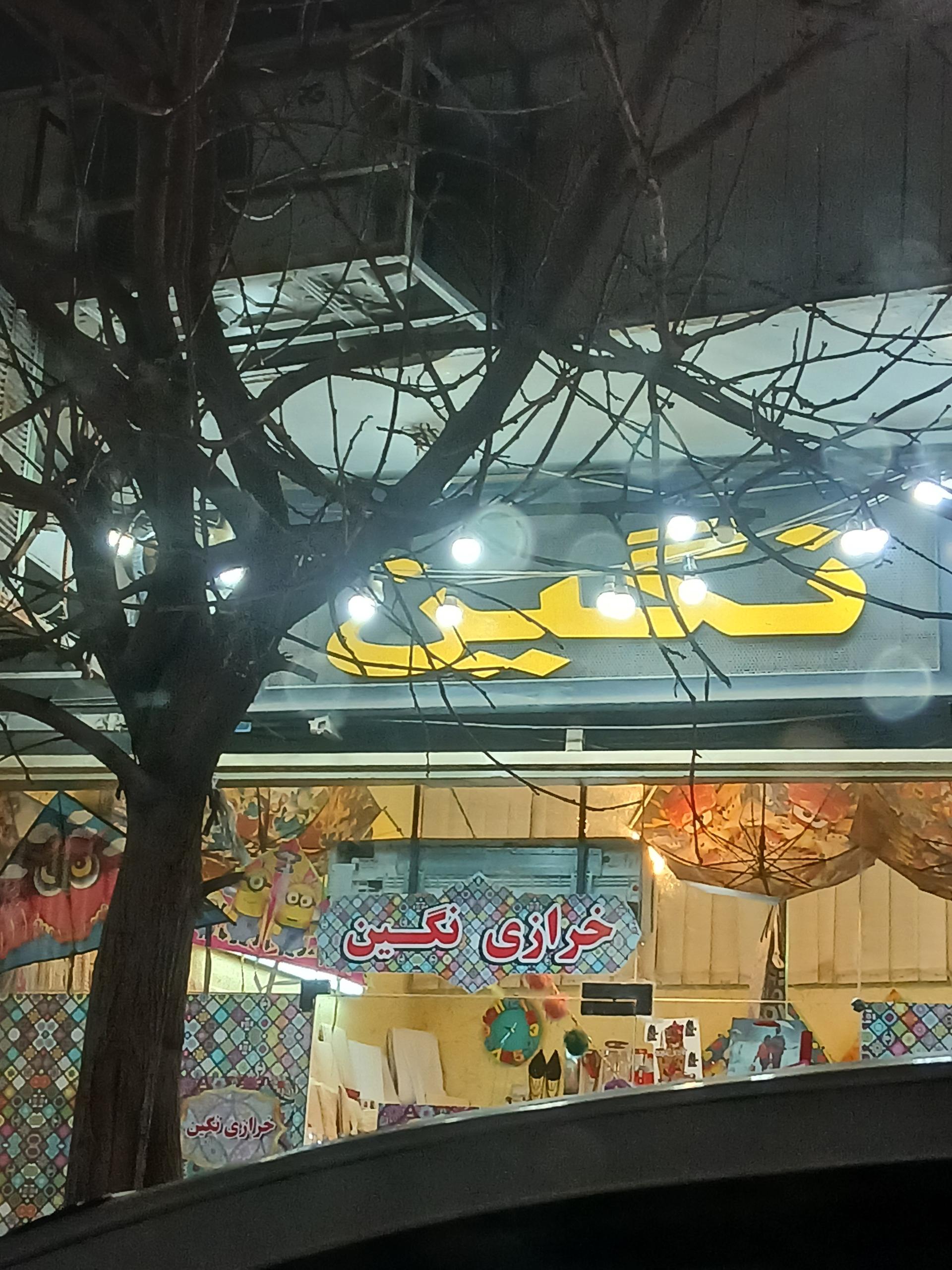 عکس خرازی نگین 