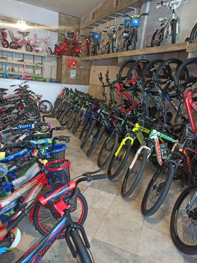 عکس دوچرخه رفاه سیکلت 