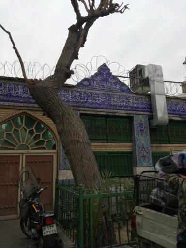 تکیه رضا قلی خان