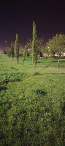 عکس پارک ترمینال 