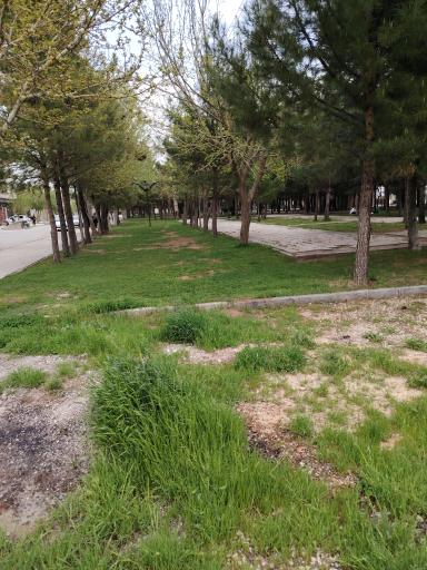 عکس پارک ترمینال 