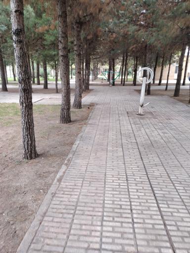 پارک ترمینال 