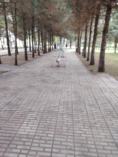 پارک ترمینال 