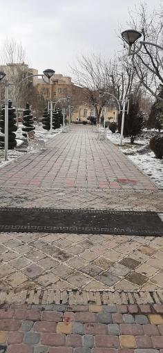 عکس بوستان هویزه 