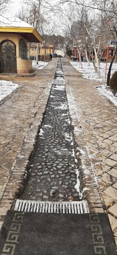 عکس بوستان هویزه 