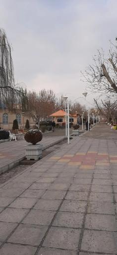 عکس بوستان هویزه 