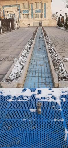 عکس بوستان هویزه 