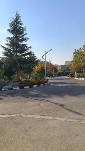 عکس بوستان هویزه 