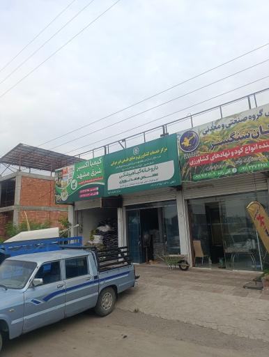 عکس رویا کشت 