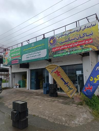 عکس رویا کشت 