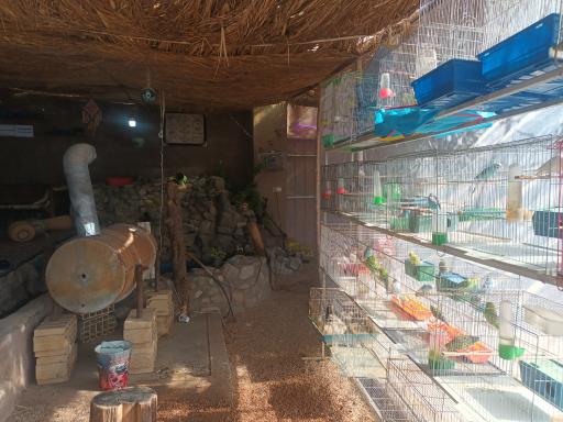 عکس قهوه خانه باغ بهشت