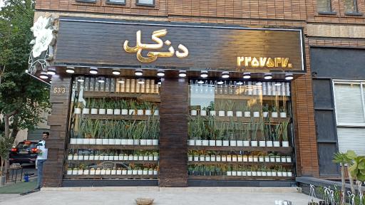 عکس گلفروشی دنی گل