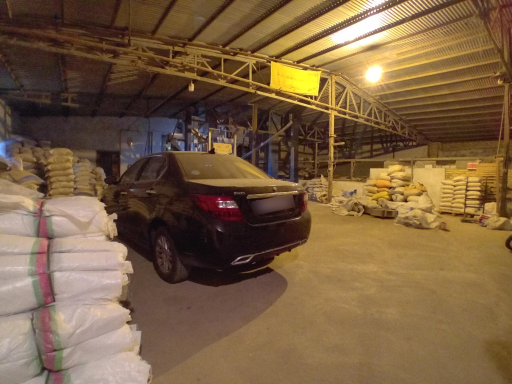 عکس شالیکوبی کریمی