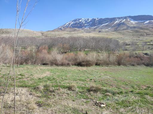 عکس رودخانه آبسرده